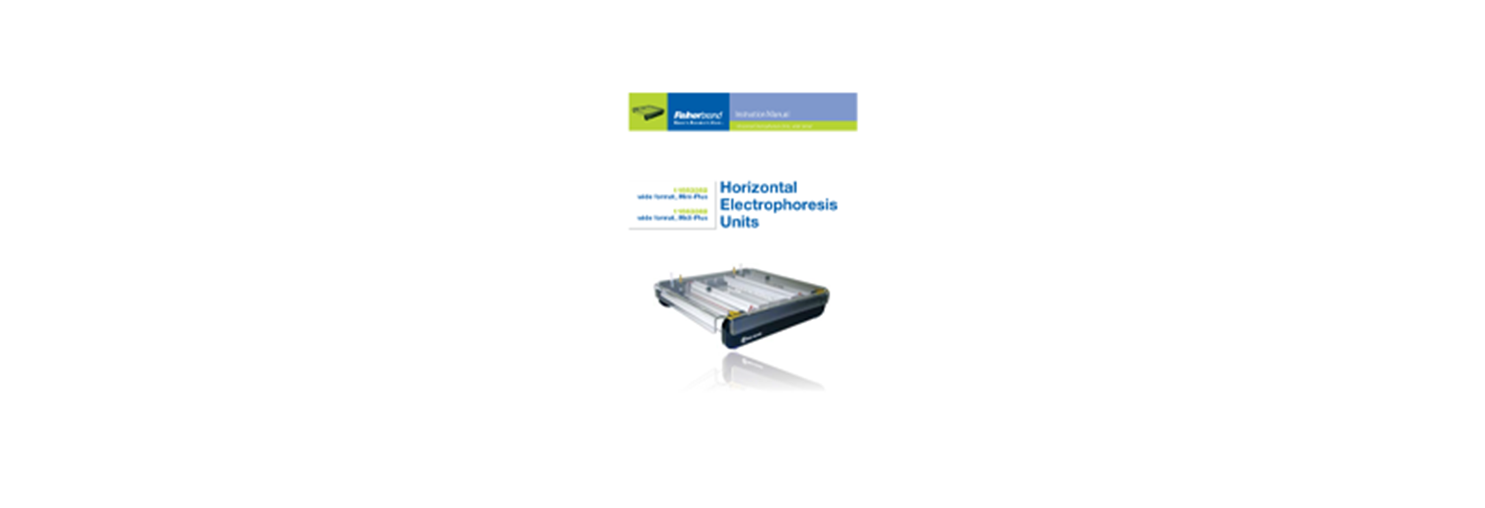 electrophoresis