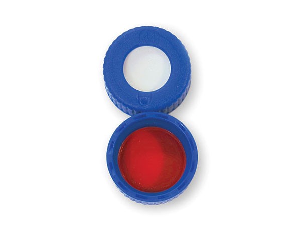 Blue_Cap